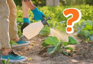 spray plantes produit