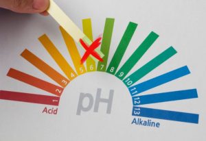 bandelette avec ph et croix rouge