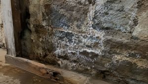 Coin humide et vieilli en pierre