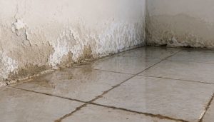 Coin mural endommagé par l'humidité